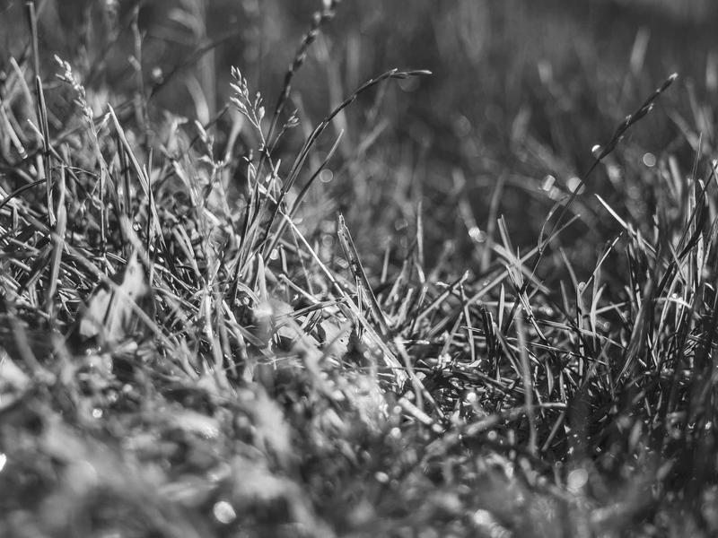 feedback screenshot 6